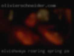 ElvishWays Roaring Spring PA