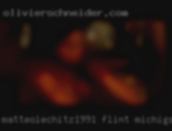 matteoLechitz1991 Flint Michigan