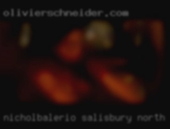 nicholBalerio Salisbury North Carolina