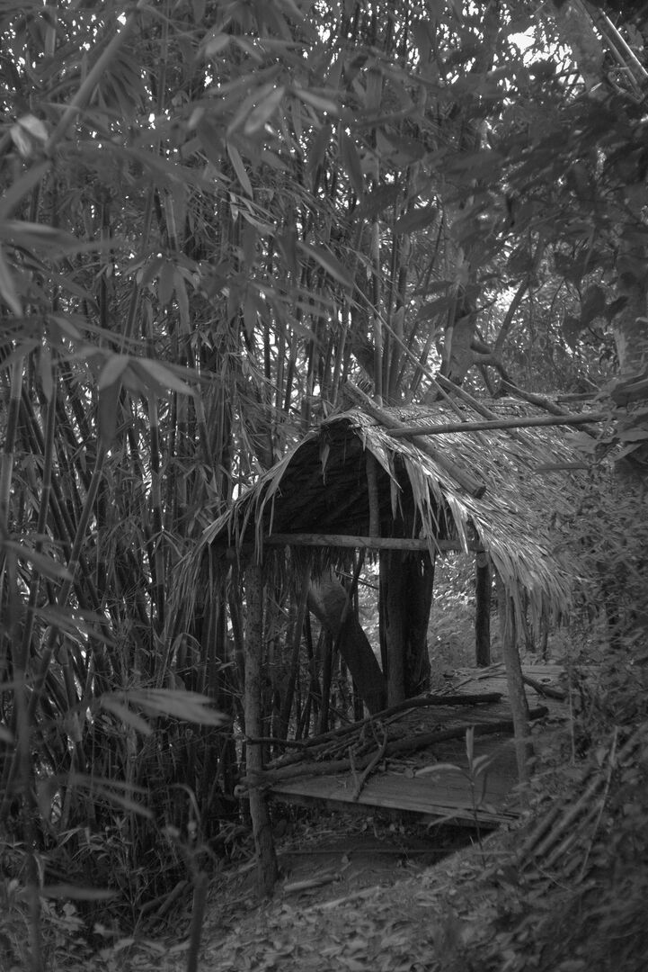 Small cabin built in the garden for shelter and to inhabit the place