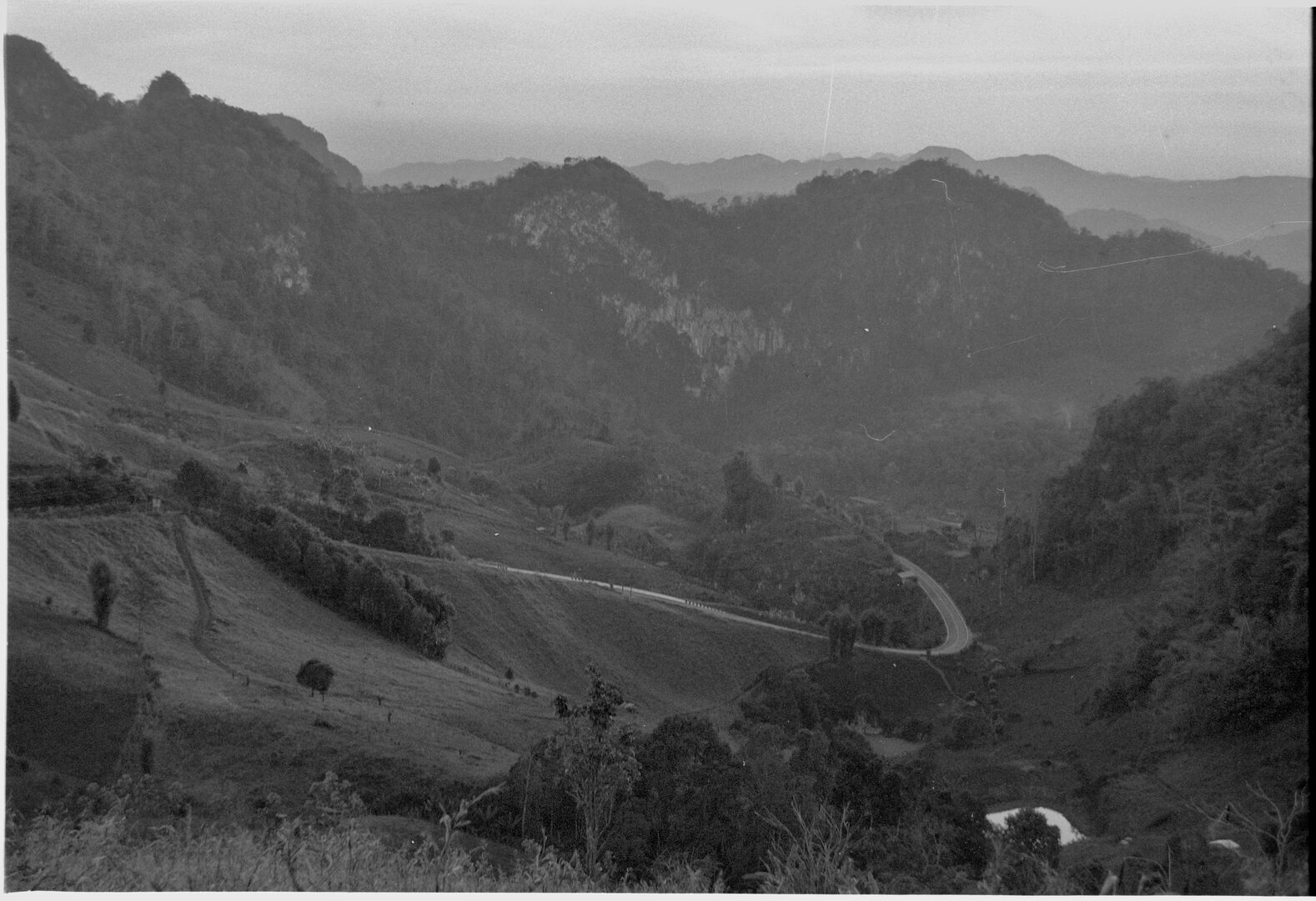 Road leading to the tea garden in the mountains of the Golden Triangle