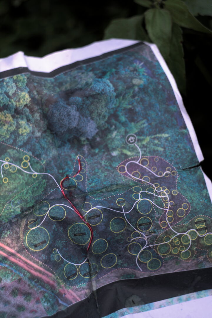 Progressive mapping of the garden as a way to understand and inhabit the space