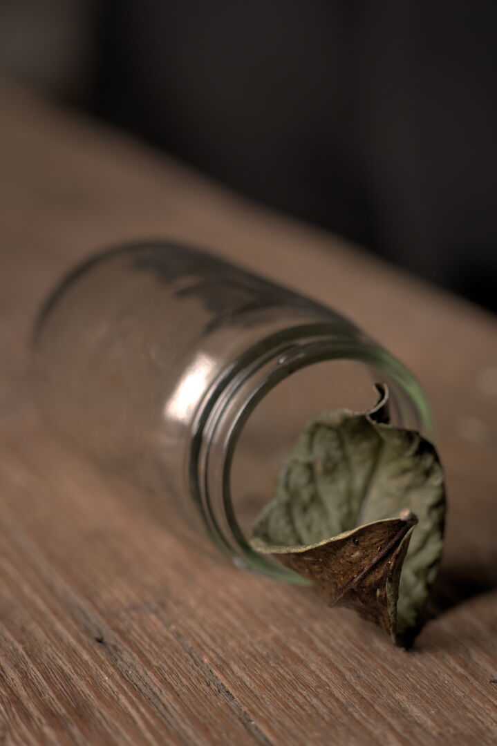 Dead Leaf, an artistic exploration of the different stages in the life of a tea leaf
