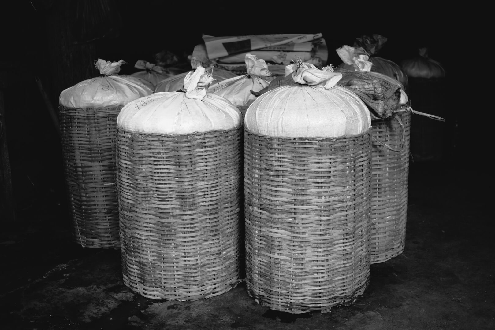 Research on miang tea culture and sustainable use of the forest in Thailand, view 2