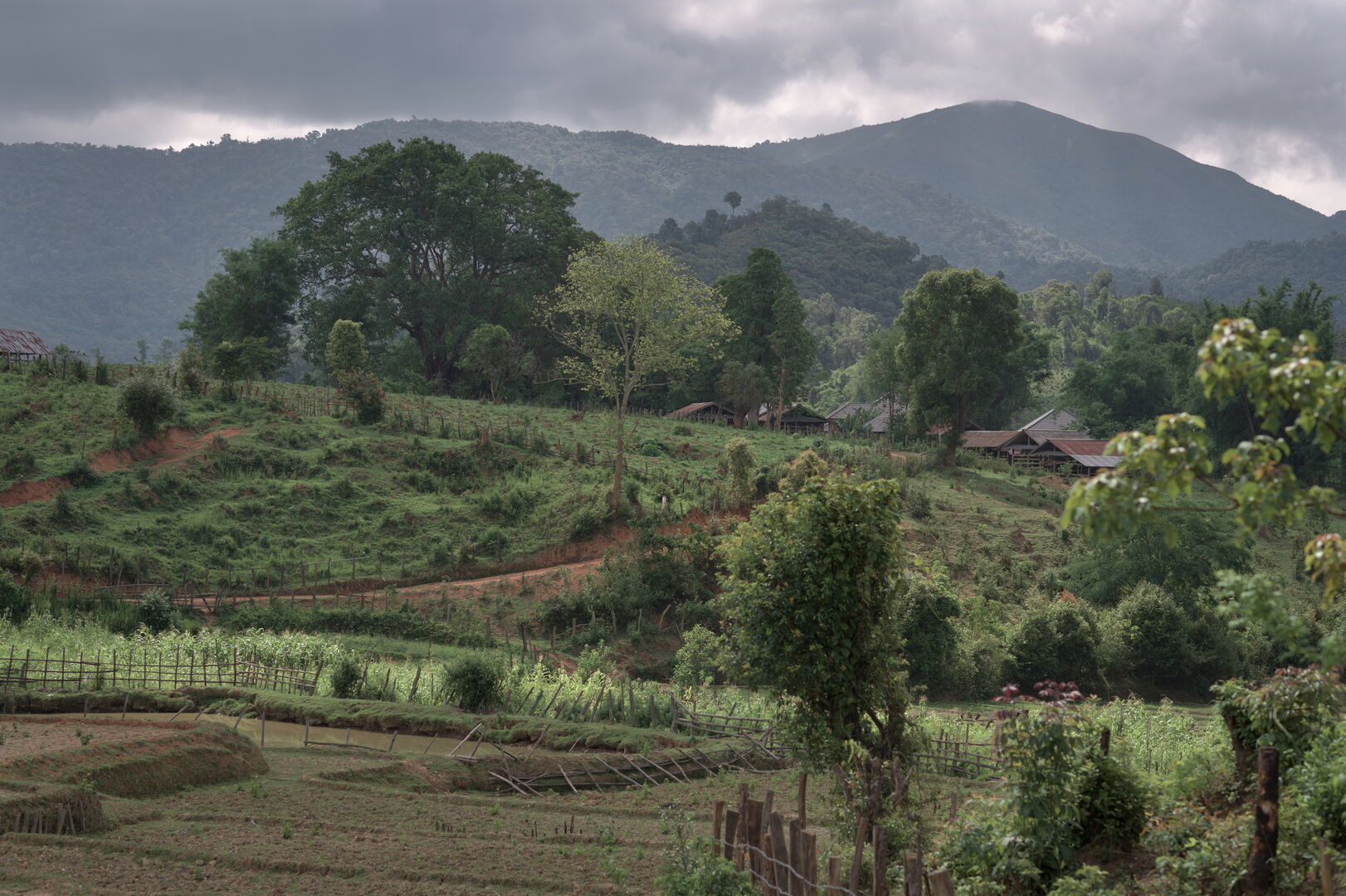 Research and mapping of tea terroirs in northern Laos, view 2
