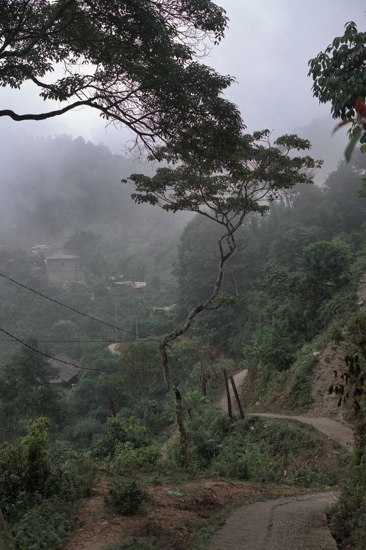 Research and mapping of tea terroirs in northern Laos, view 15