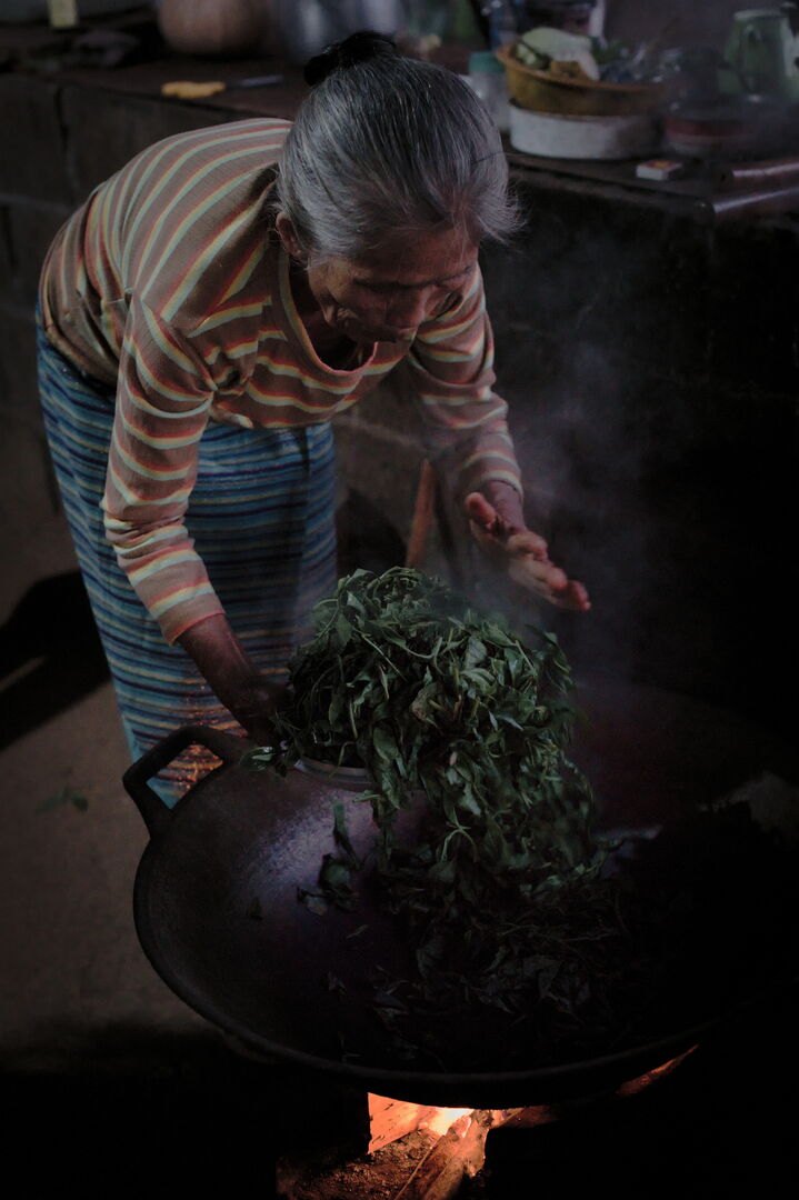 Research and mapping of tea terroirs in northern Thailand, view 1