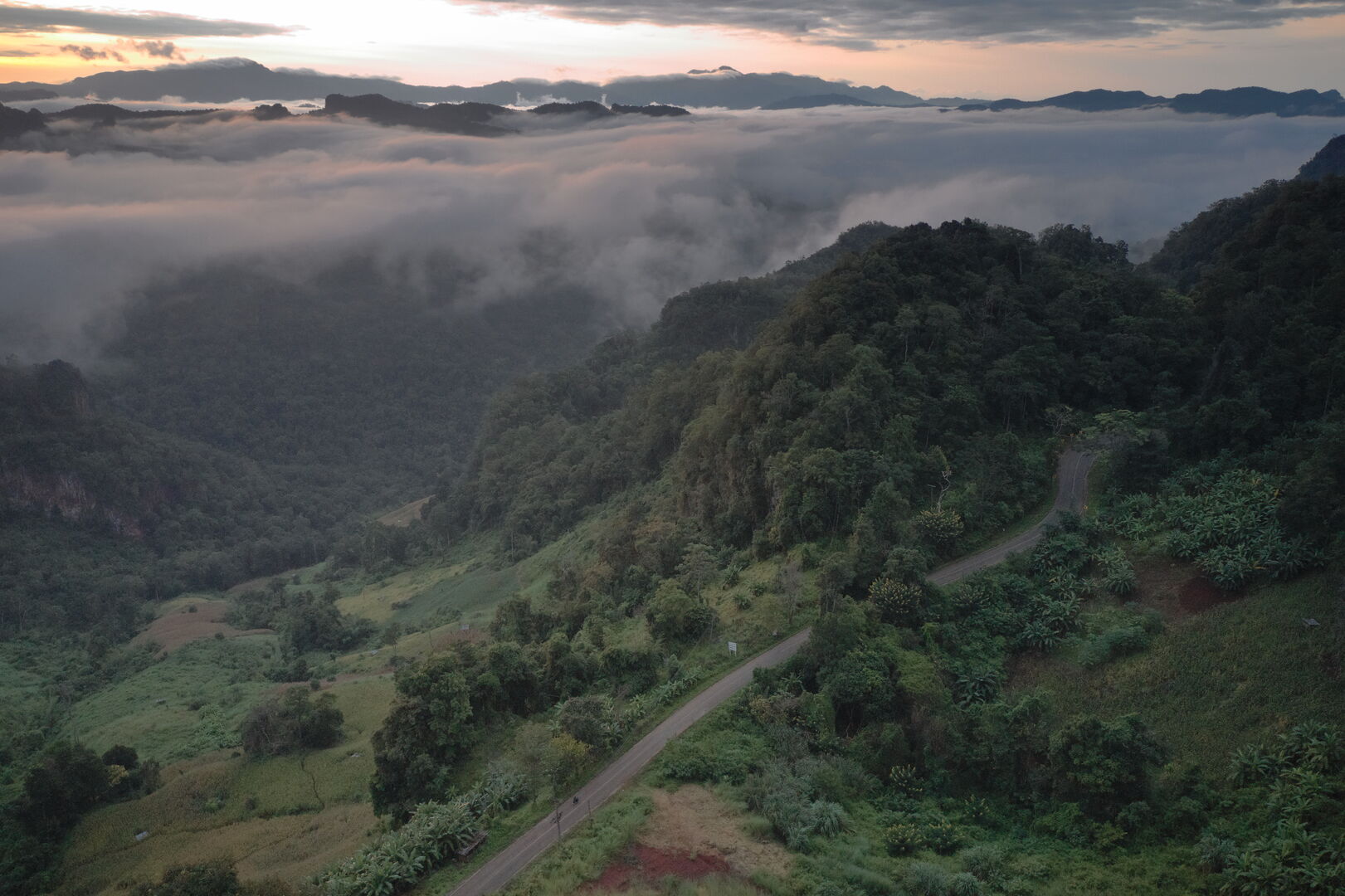 Research and mapping of tea terroirs in northern Thailand, view 4