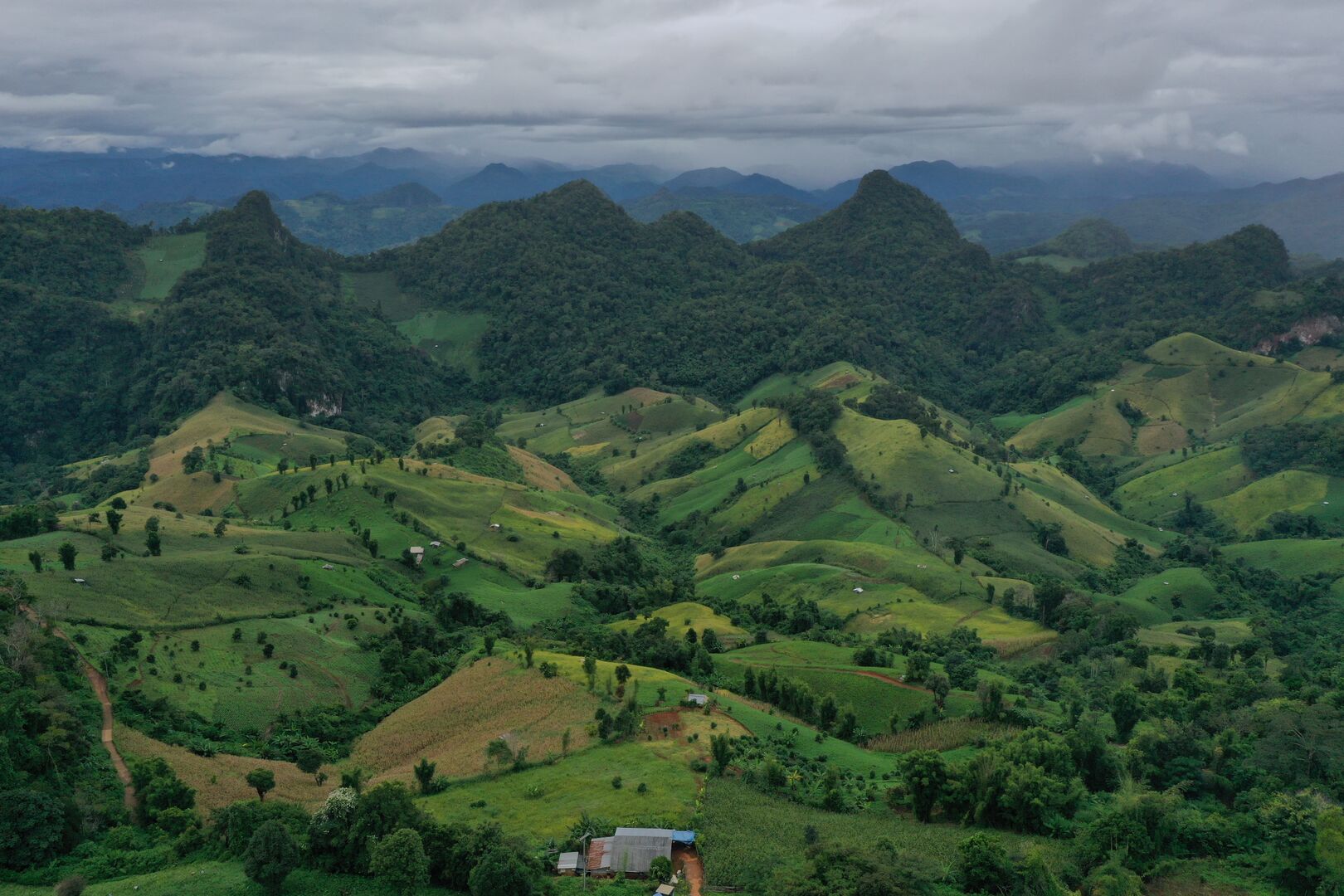 Research and mapping of tea terroirs in northern Thailand, view 6