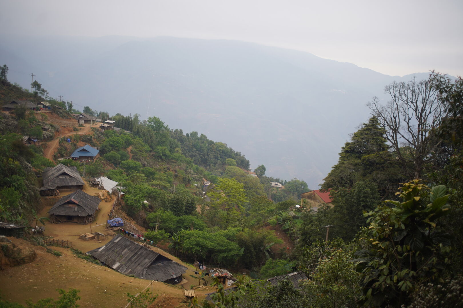 Field research on tea terroirs in northern Vietnam, view 5