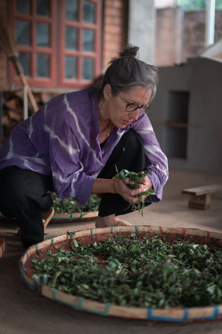 Research on aromatic and sensory compounds in puerh tea, view 5