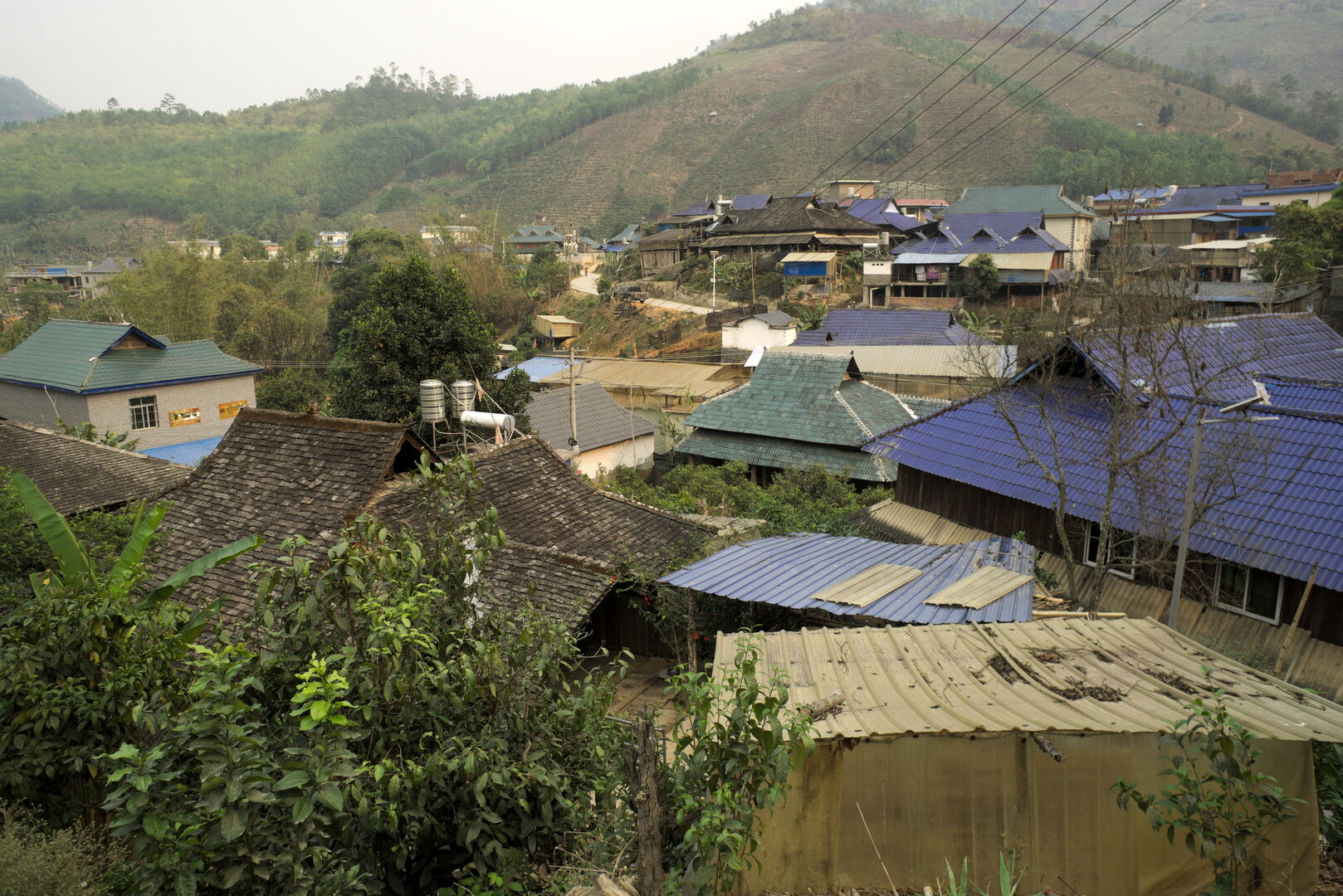 Field research on the tea terroirs of Bulang Shan and Menghai in Yunnan, view 4