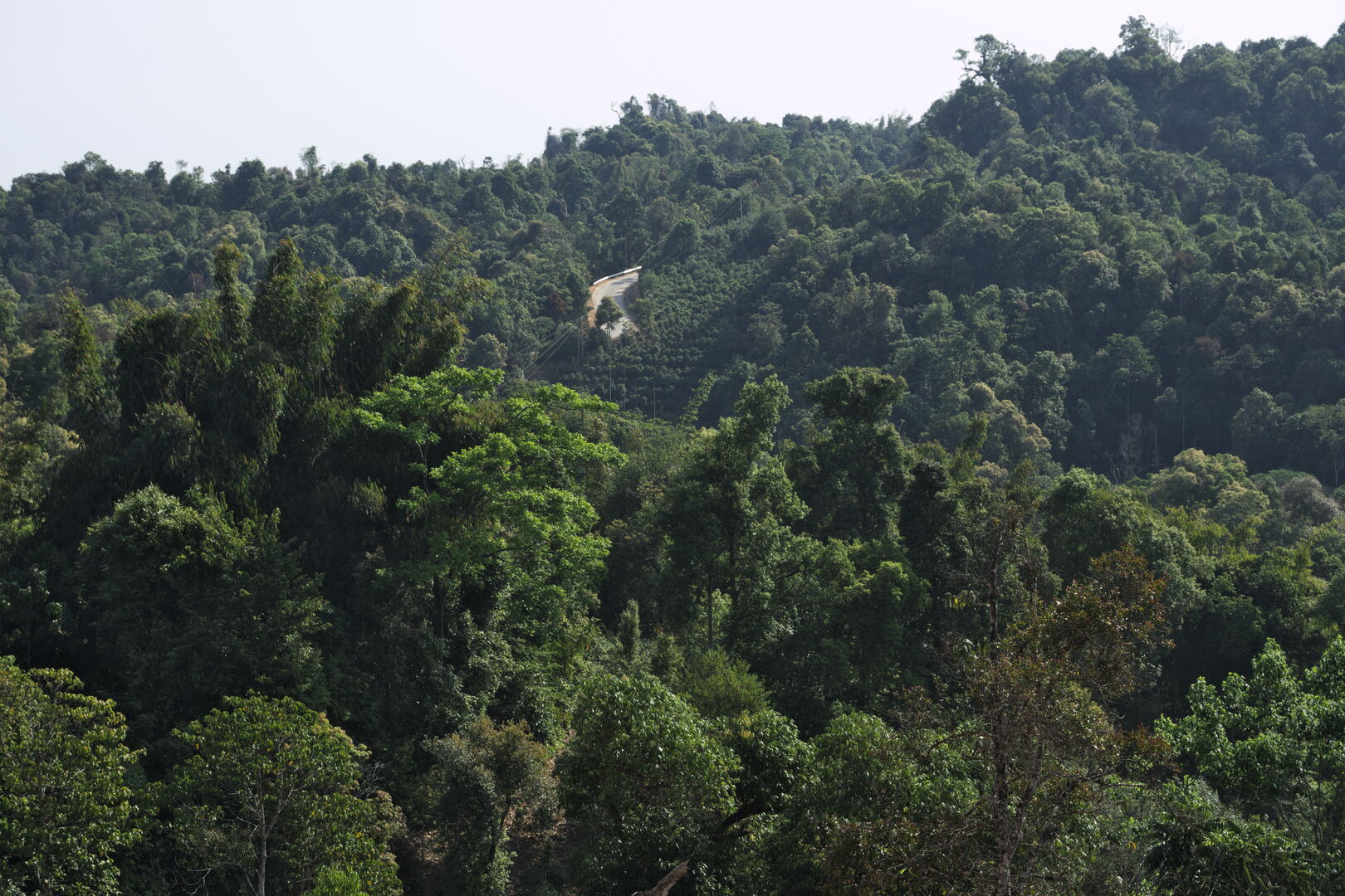 Exploration des villages et terroirs de thé de Bulang Shan, Menghai, Yunnan, 2019 — vue 1