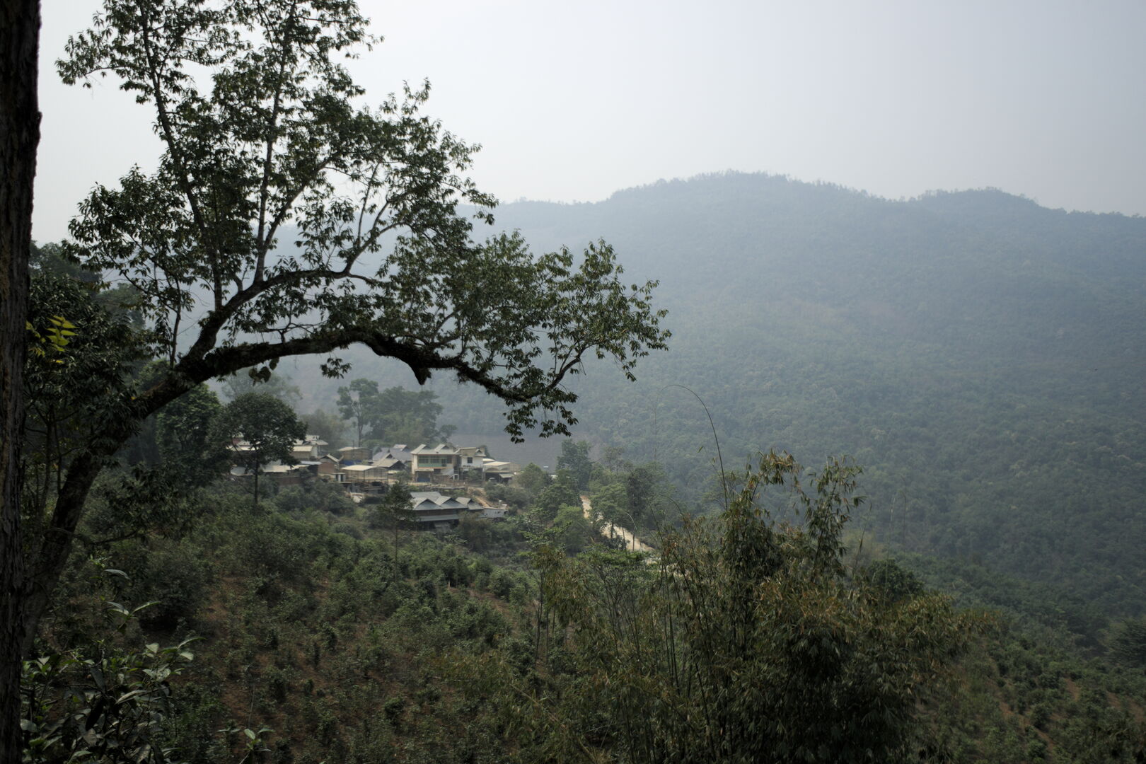 Exploration des villages et terroirs de thé de Bulang Shan, Menghai, Yunnan, 2019 — vue 6