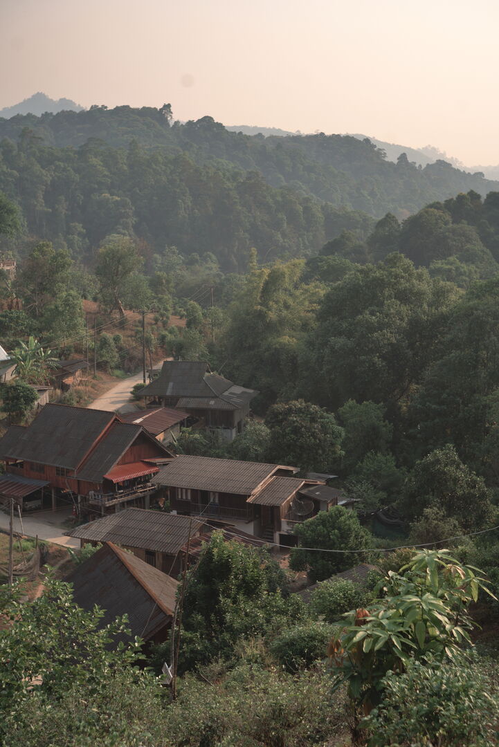 Recherche et développement de nouveaux thés issus de la forêt en Thaïlande, 2026 — vue 2