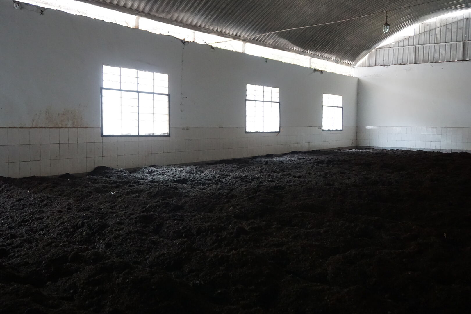 Production à Jinuo Shan d’un lot spécial de shu puerh fermenté pressé en tuo cha, 2019 — vue 3