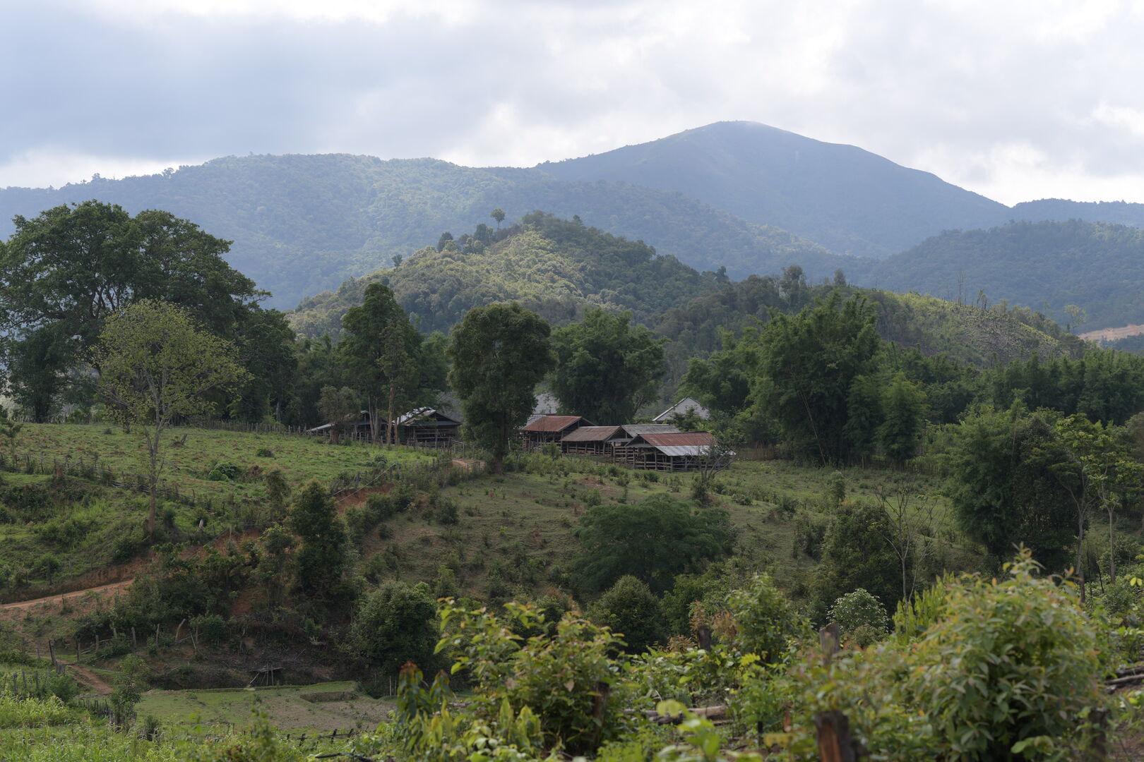 Exploration de nouveaux terroirs et sourcing de thé au Laos, 2023 — vue 3