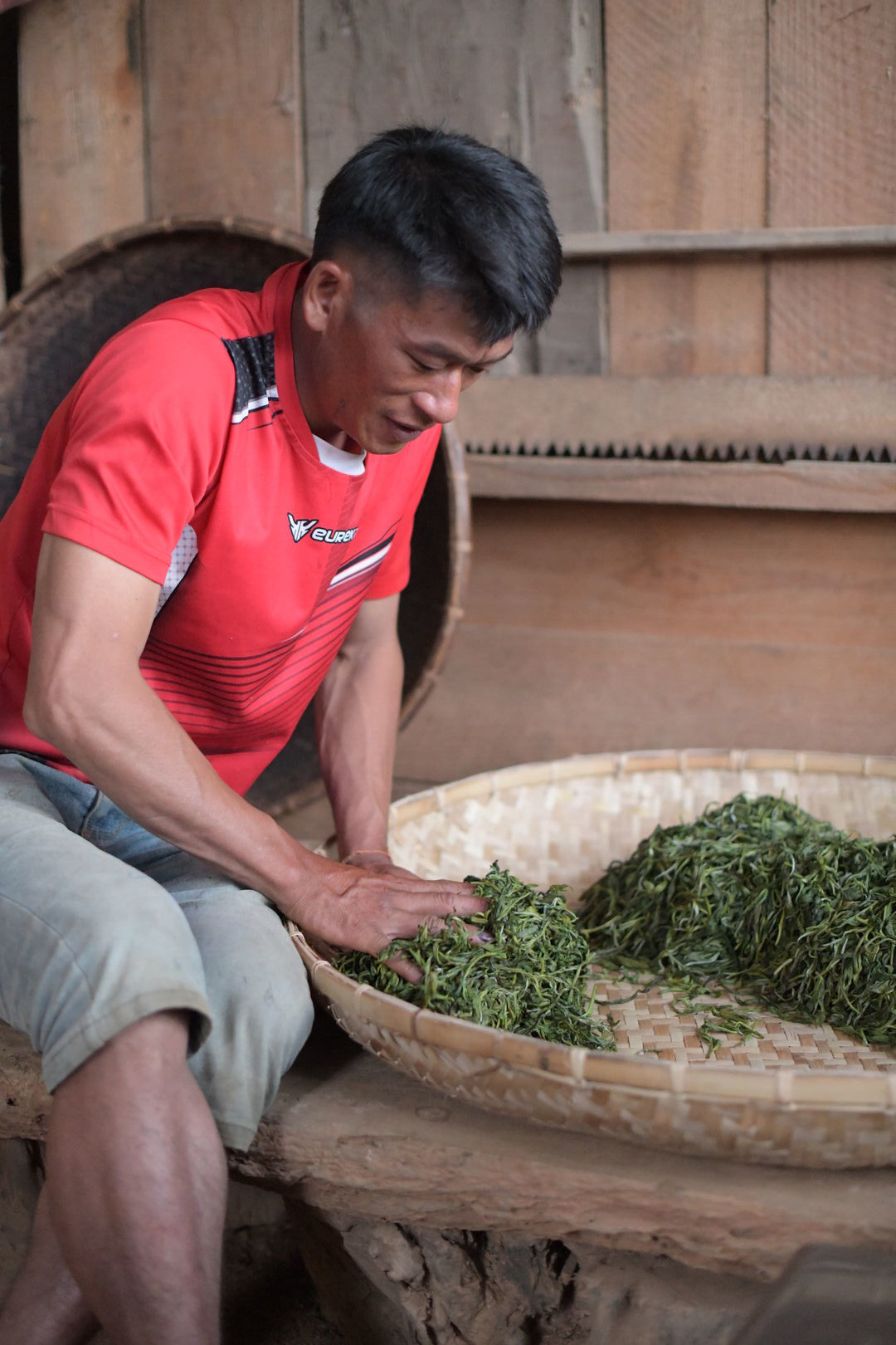 Exploration de nouveaux terroirs et sourcing de thé au Laos, 2023 — vue 4