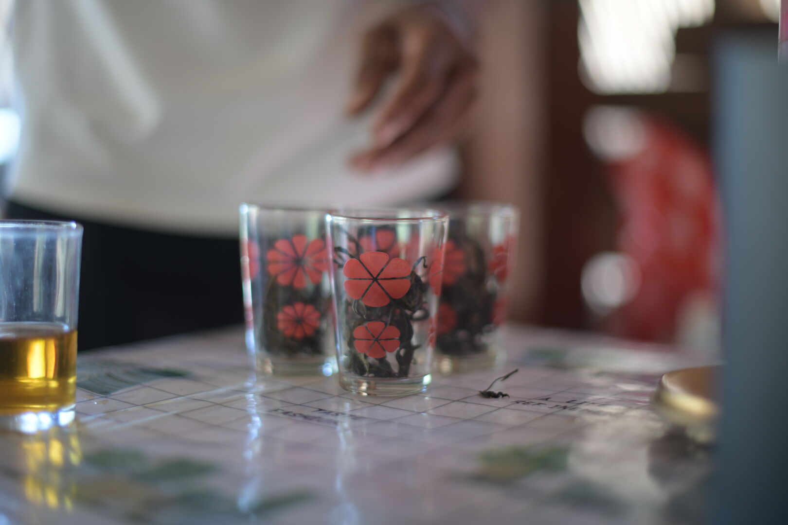 Exploration de nouveaux terroirs et sourcing de thé au Laos, 2023 — vue 7