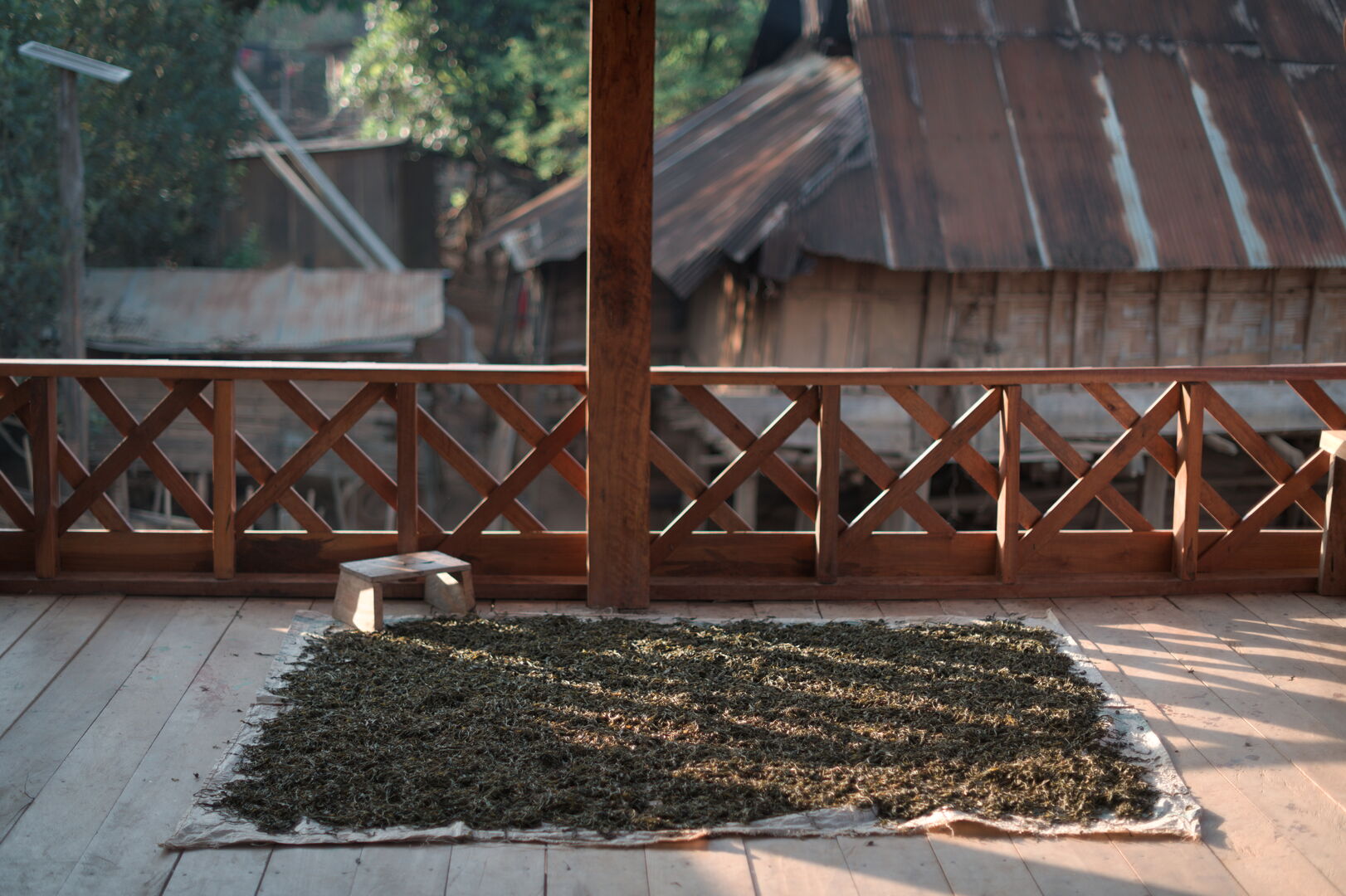 Exploration de nouveaux terroirs et sourcing de thé au Laos, 2023 — vue 11