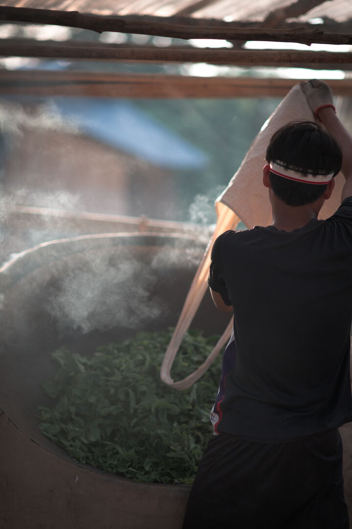 Exploration de nouveaux terroirs et sourcing de thé au Laos, 2023 — vue 13