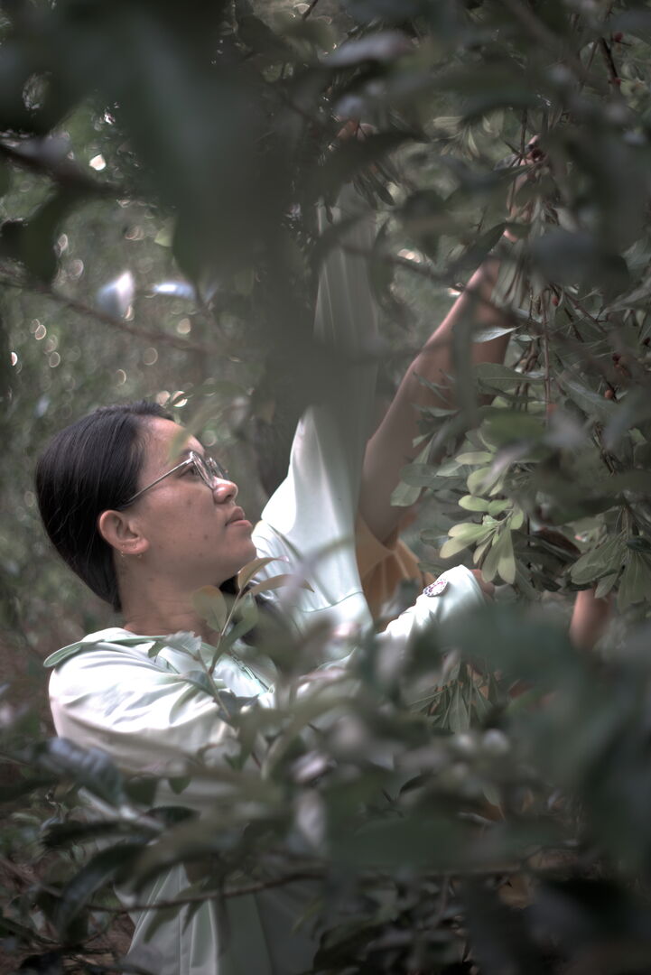 Suivi de la production de puerh de printemps de vieux théiers à Mengsong, Yunnan, 2025 — vue 2