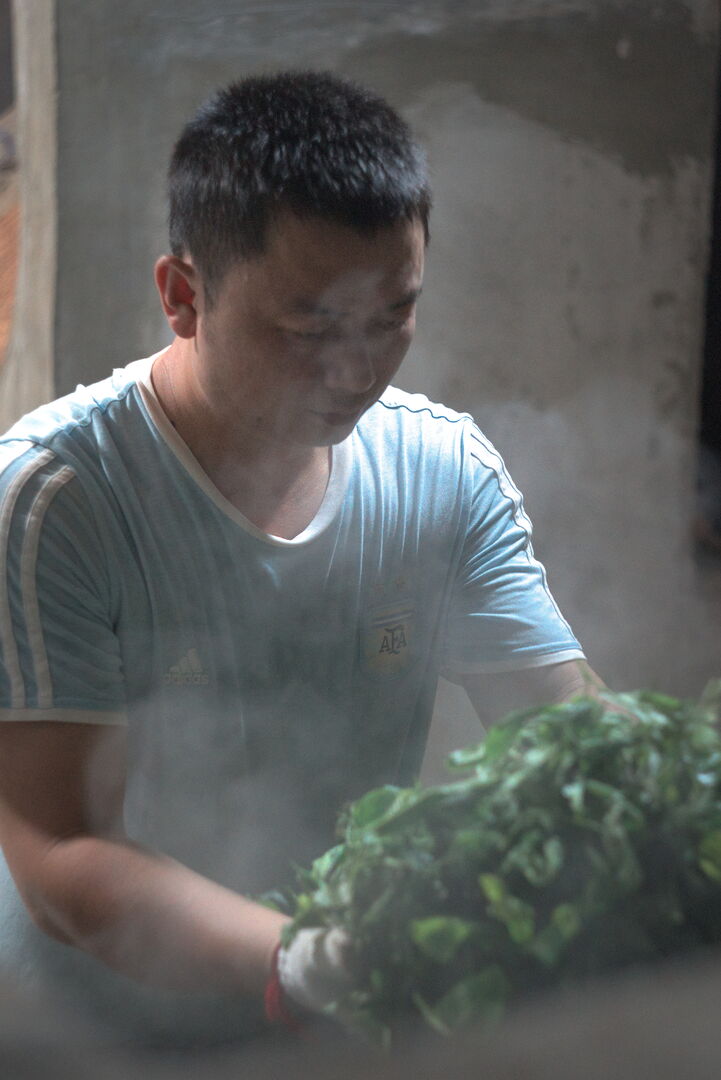 Suivi de la production de puerh de printemps de vieux théiers à Mengsong, Yunnan, 2026 — vue 1