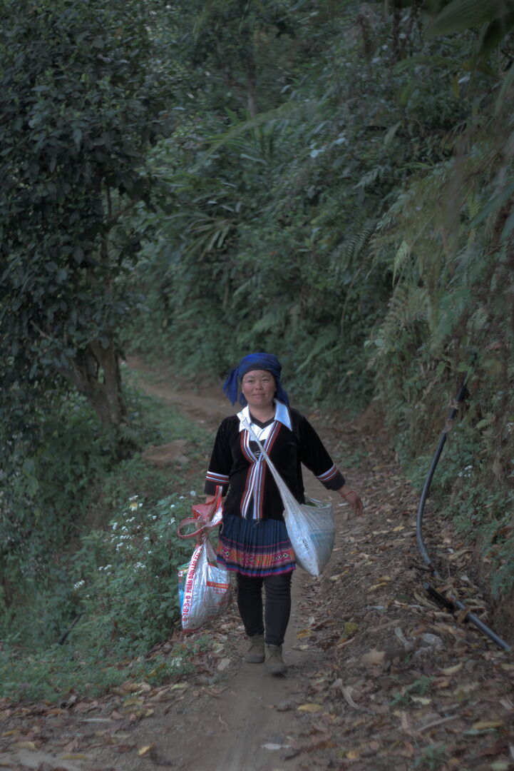 Exploration et sourcing de nouveaux terroirs et villages de thé dans le nord du Vietnam, 2025 — vue 1