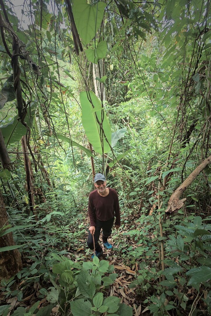 Oliver Hartleib de Tee Kontor Kiel en visite dans le jardin de thé en Thaïlande, 2025