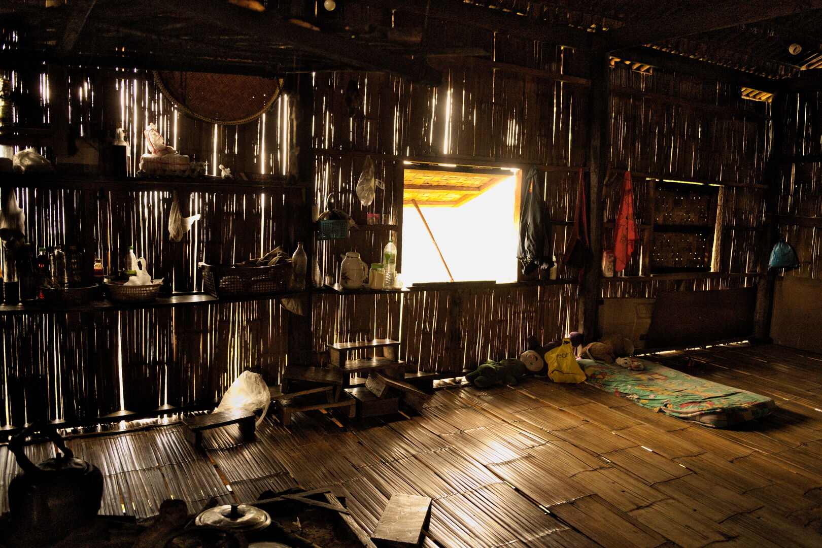 Sourcing et suivi de production de puerh à Pha Hom Pok en Thaïlande, 2020 — vue 5
