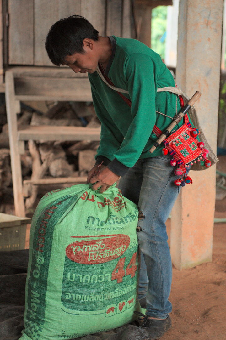 Sourcing et suivi de production de puerh à Pha Hom Pok en Thaïlande, 2020 — vue 6