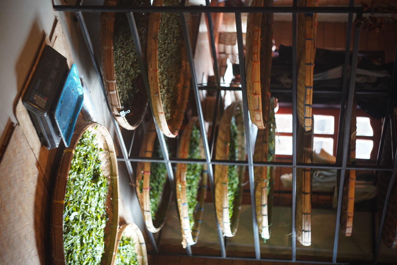 Création des thés sur mesure Prasin et Grenat à Eleventh Hill Tea Studio en Thaïlande, 2026 — vue 3