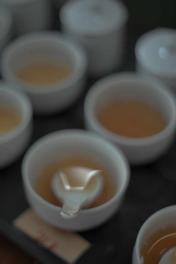 Sélection de Dong Ding biologique avec la famille Xu à Shanlinxi, Taïwan, 2025 — vue 1
