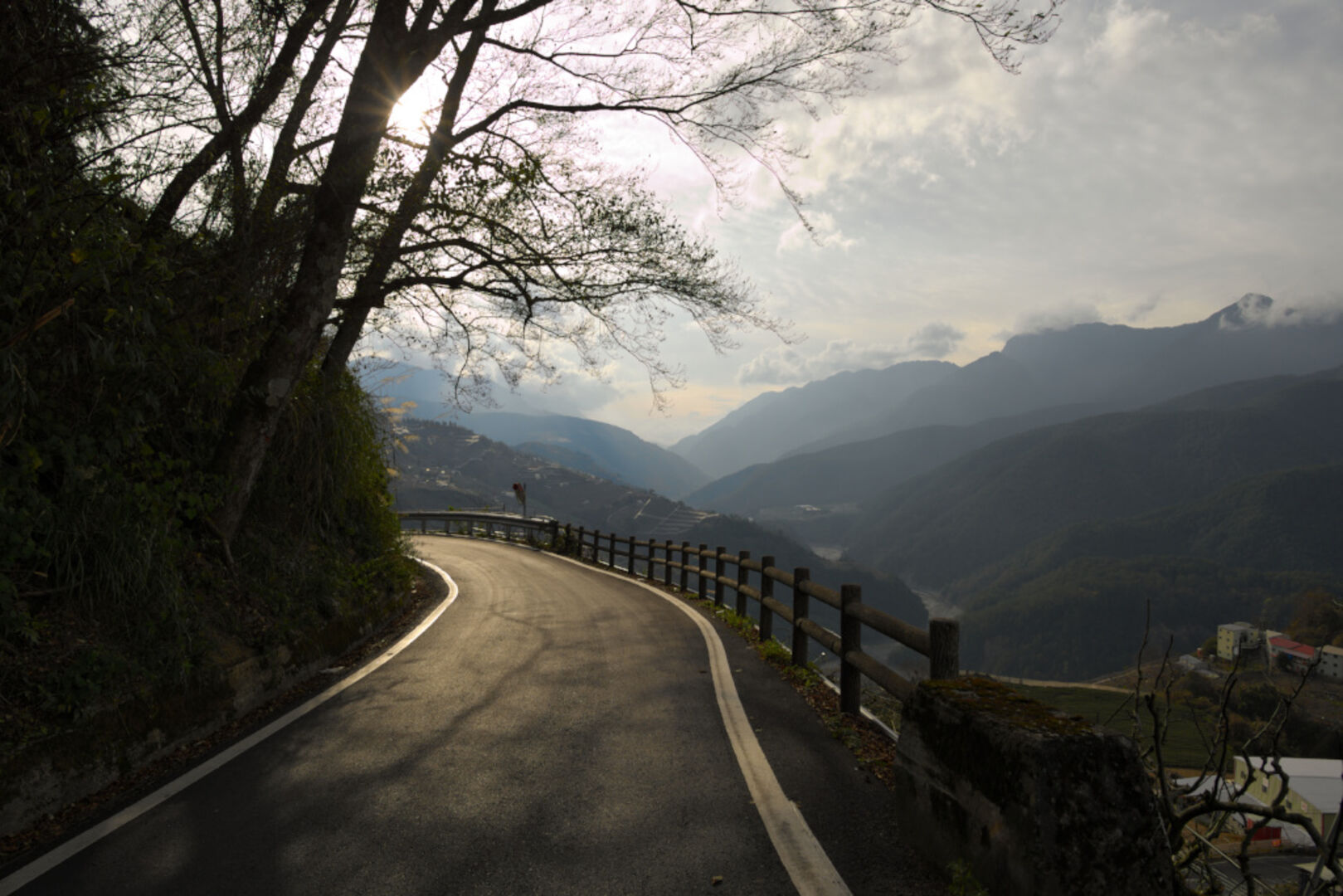 Sourcing de wulong de haute montagne dans les terroirs d’altitude de Taïwan, 2019 — vue 2