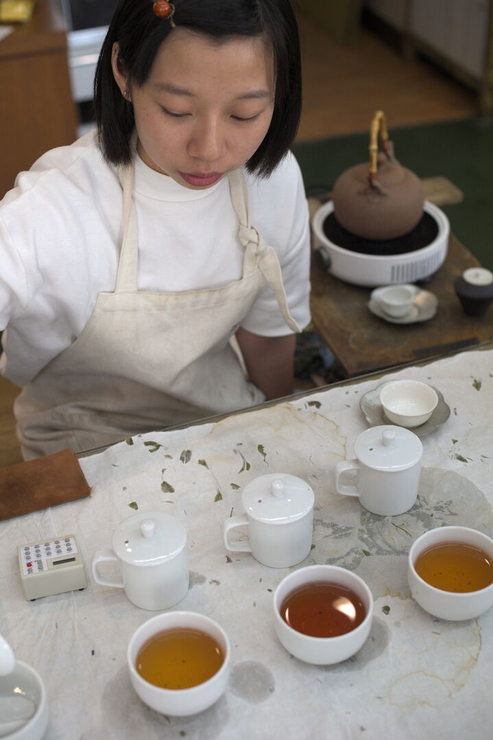 Recherche et sourcing de thé auprès de producteurs à Taïwan, 2019 — vue 1
