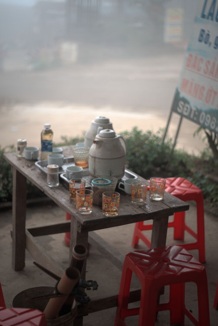 Sourcing de thés verts de vieux théiers à Taxua, Vietnam, 2025 — vue 1