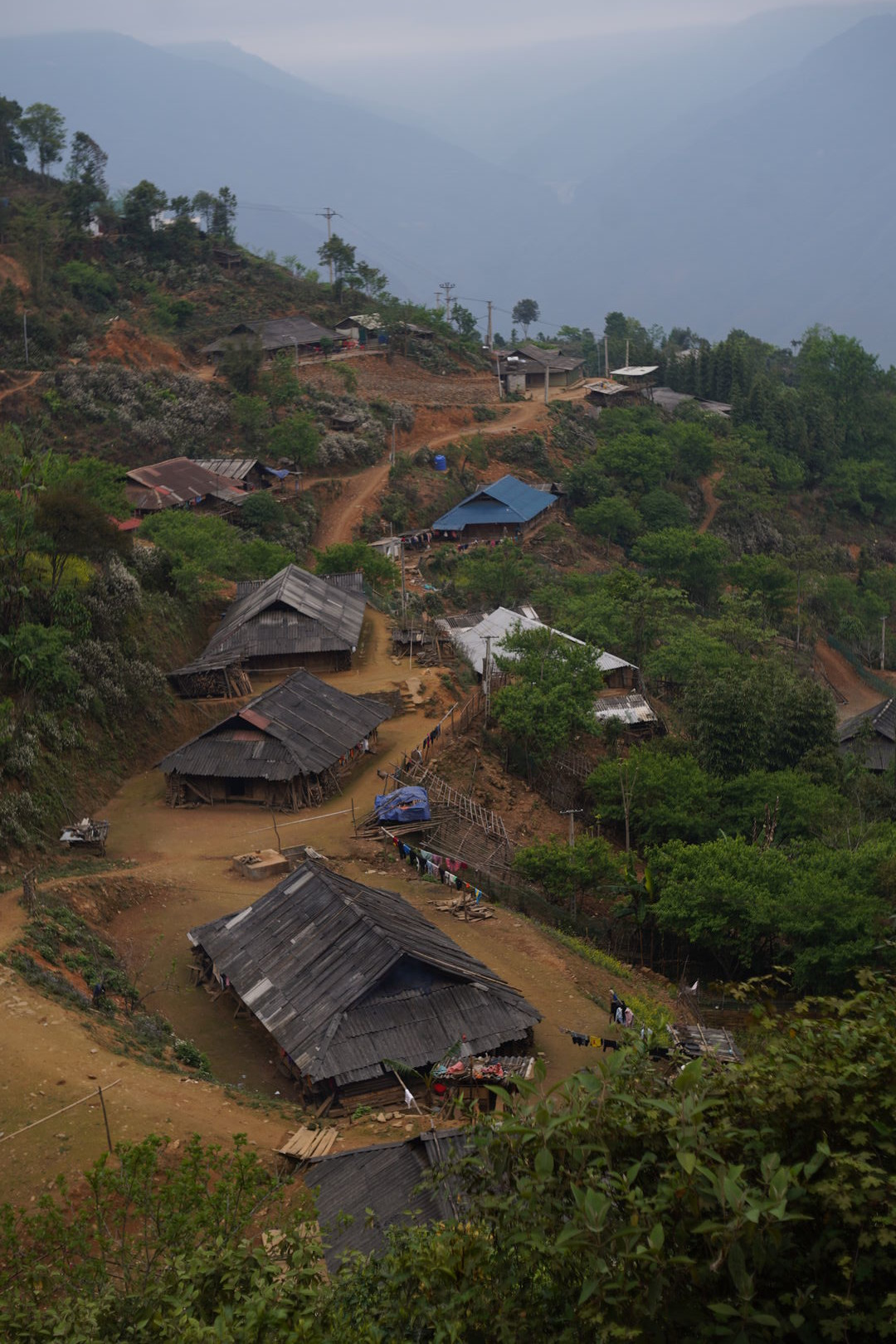 Sourcing de thés verts de vieux théiers à Taxua, Vietnam, 2025 — vue 5