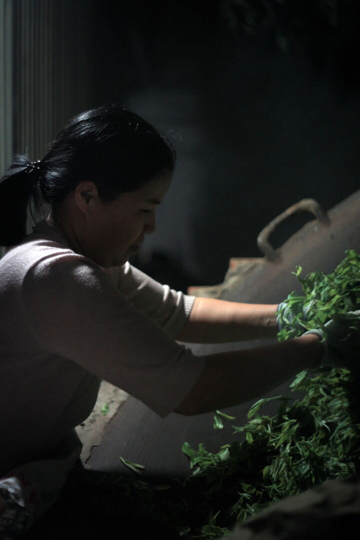 Sourcing de thés verts de vieux théiers à Taxua, Vietnam, 2025 — vue 7