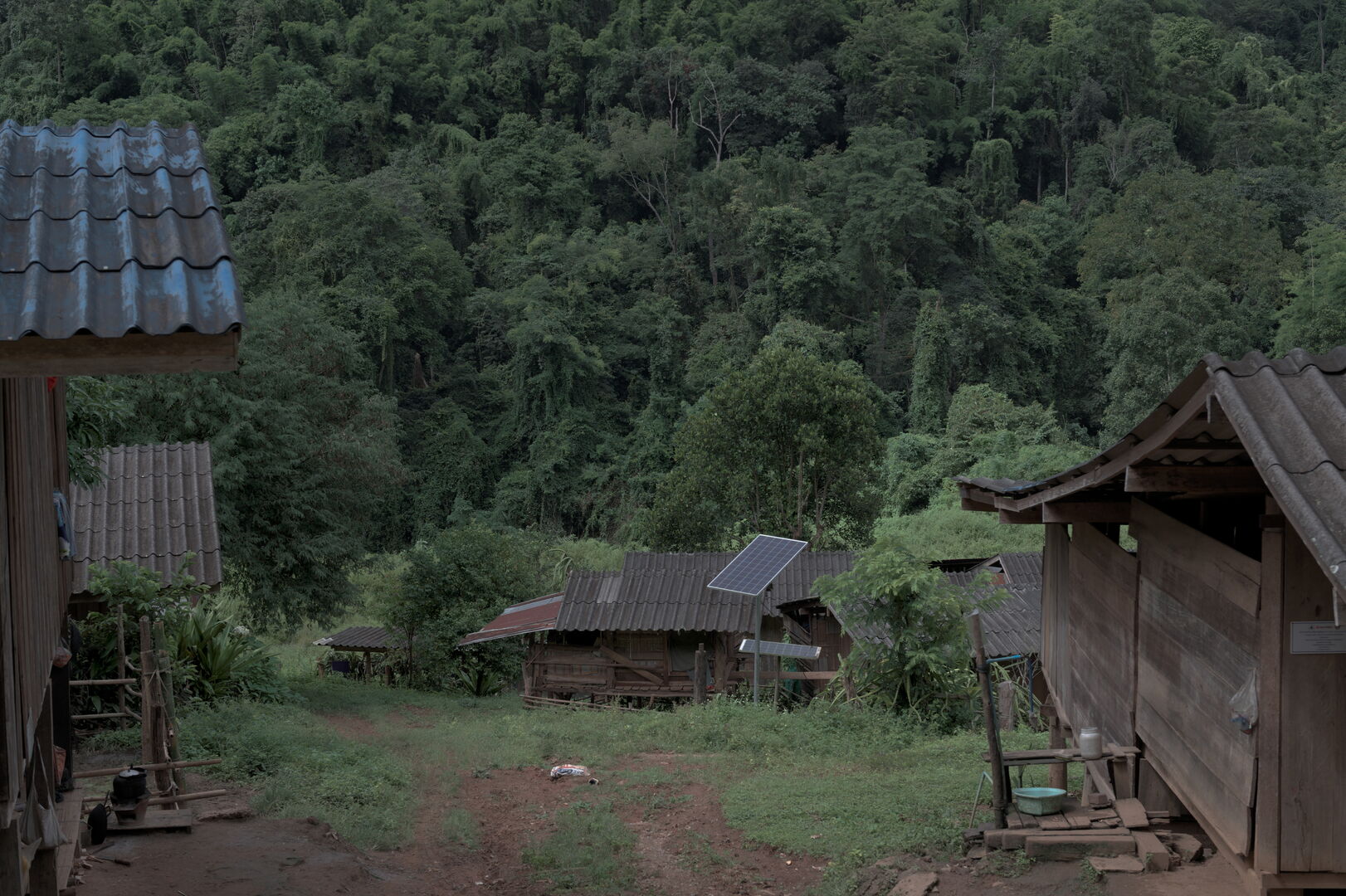 Sourcing de thé en Thaïlande pendant la pandémie de Covid-19, 2021 — vue 5