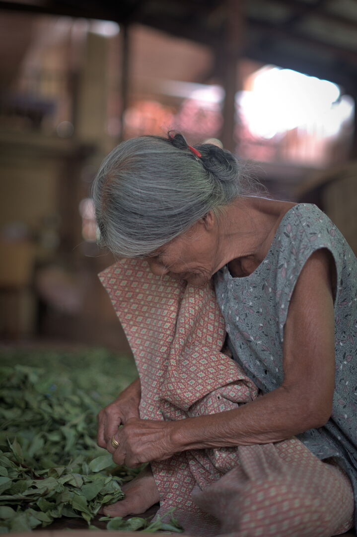 Sourcing de thé en Thaïlande pendant la pandémie de Covid-19, 2021 — vue 6