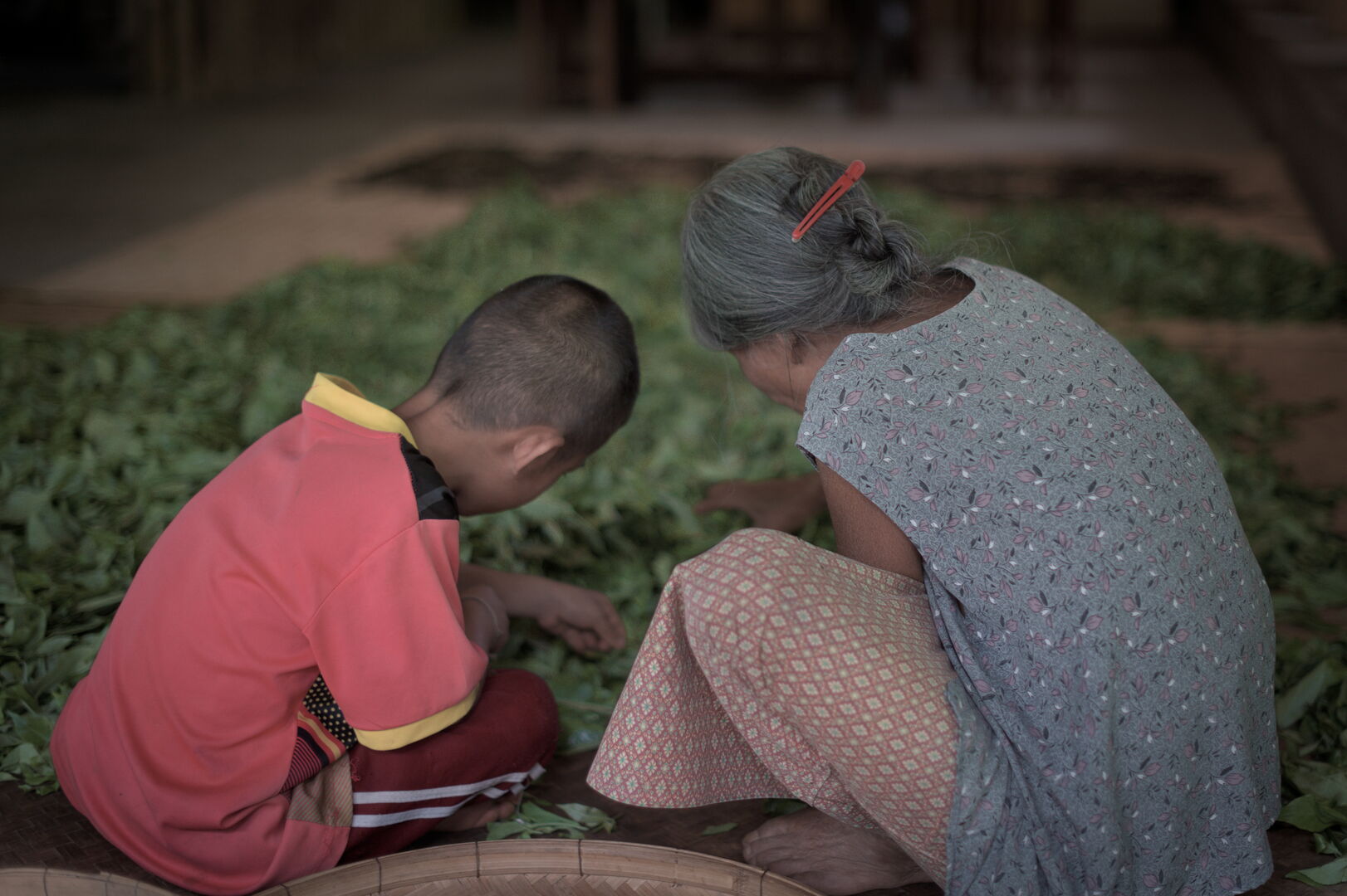 Sourcing de thé en Thaïlande pendant la pandémie de Covid-19, 2021 — vue 7