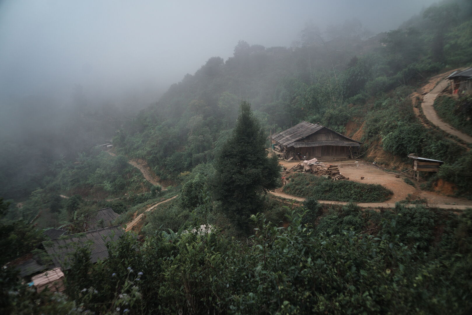 Recherche de nouveaux terroirs et sourcing de thé dans le nord du Vietnam, 2022 — vue 3