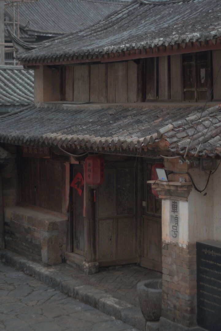 Suivi de la production de puerh de printemps à Yi Wu Shan, Yunnan, 2025 — vue 6