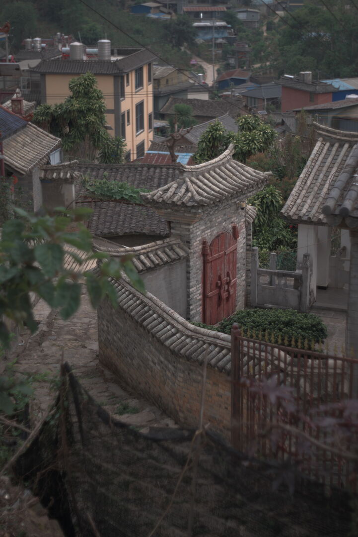 Suivi de la production de puerh de printemps à Yi Wu Shan, Yunnan, 2025 — vue 7