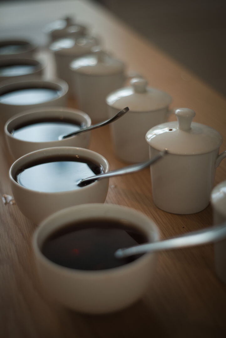Advanced puerh tea training with Carine Baudry in Paris in 2024, view 4
