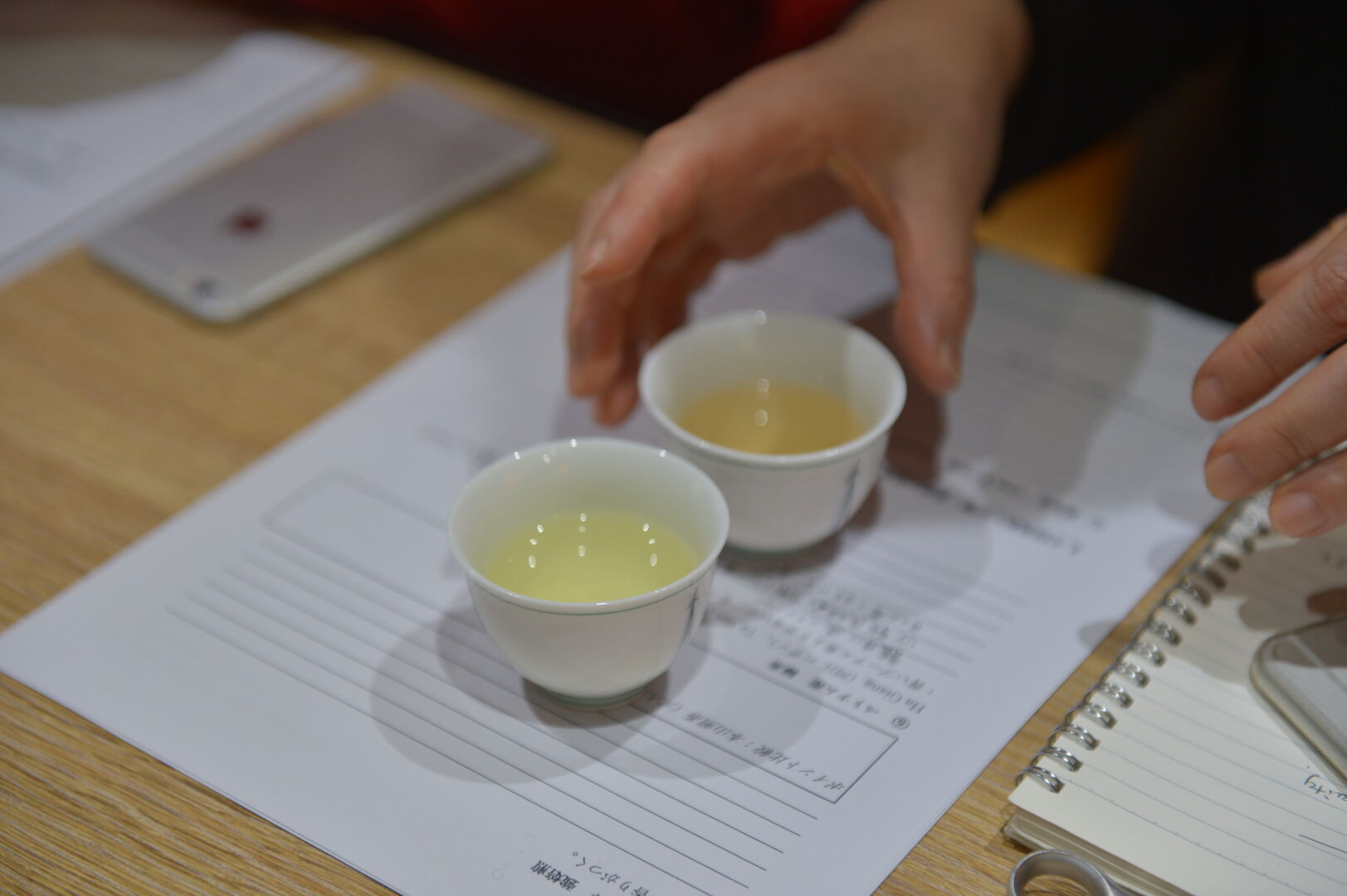 Tokyo workshop connecting puerh tea with Japanese tea traditions, view 1